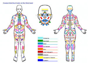 Bodymap Testing & Interpretation