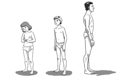 Shapes of Experience