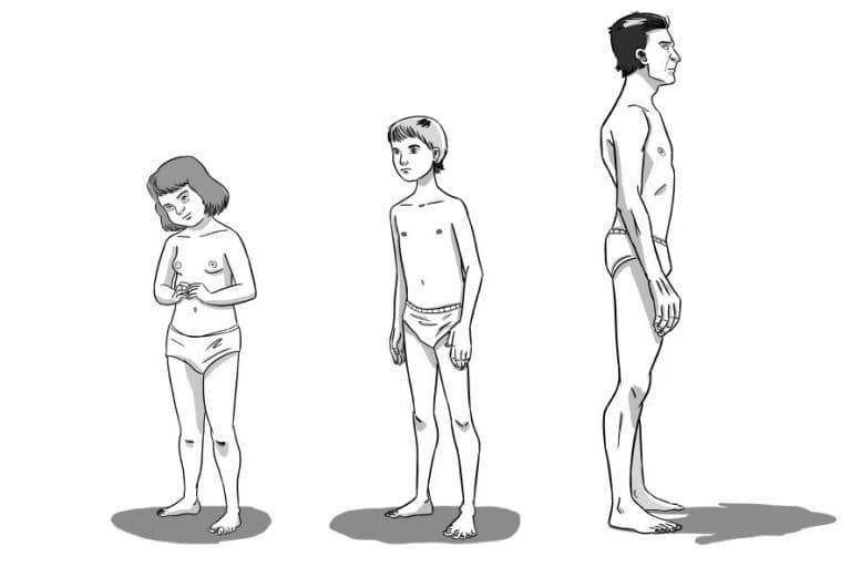 Shapes of Experience