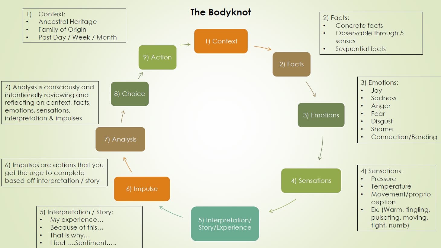 The nine stages of the Bodyknot, from Context and Facts through Emotions, Sensations, and Interpretation, to Impulse, Analysis, Choice, and Action.