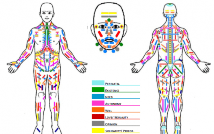 The Bodymap: front, face, and back views color-coded by Character Structure and developmental stage.