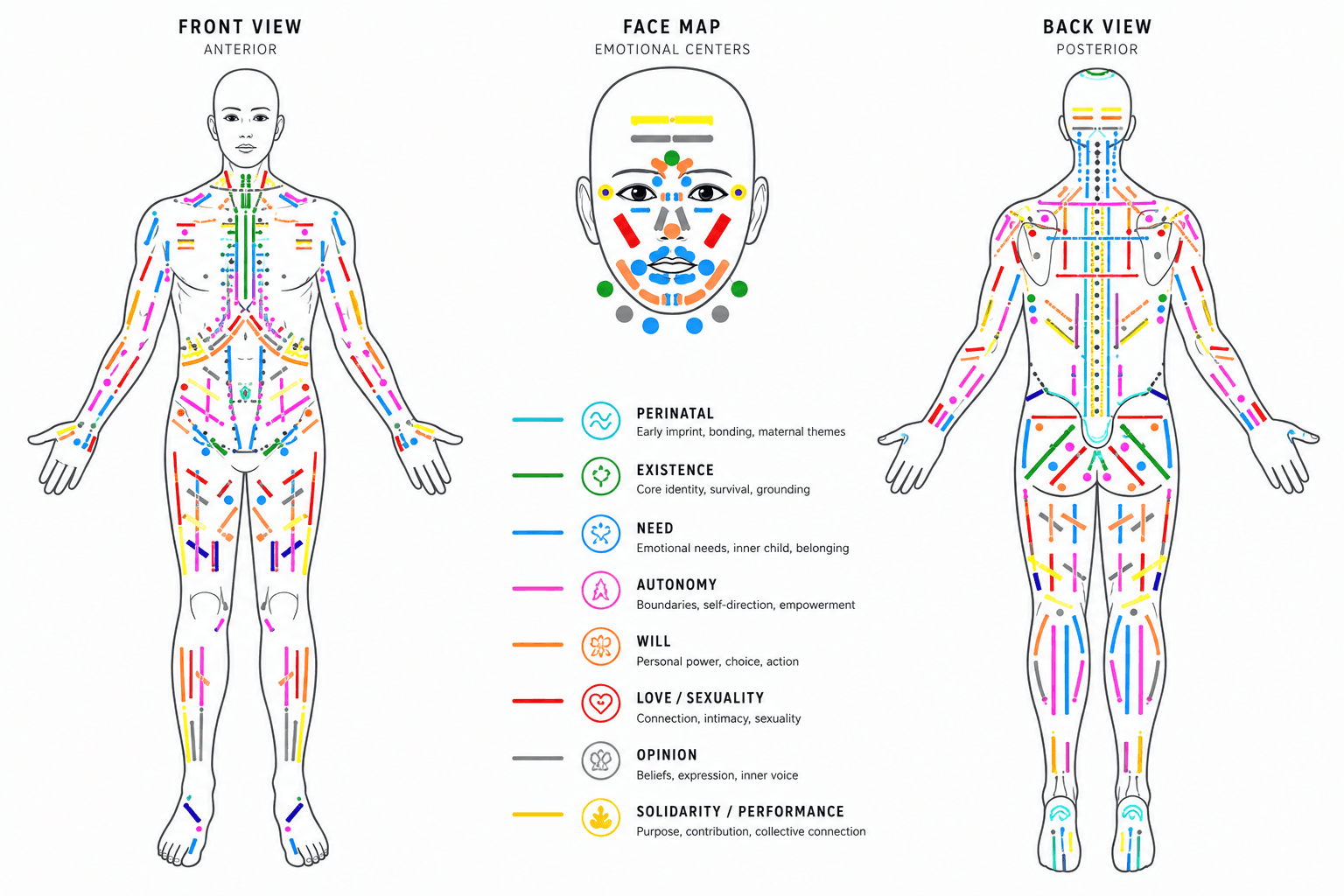 A Bodymap: front, face and back views of the body, with muscles colour-coded by developmental stage — perinatal, existence, need, autonomy, will, love and sexuality, opinion, and solidarity and performance.