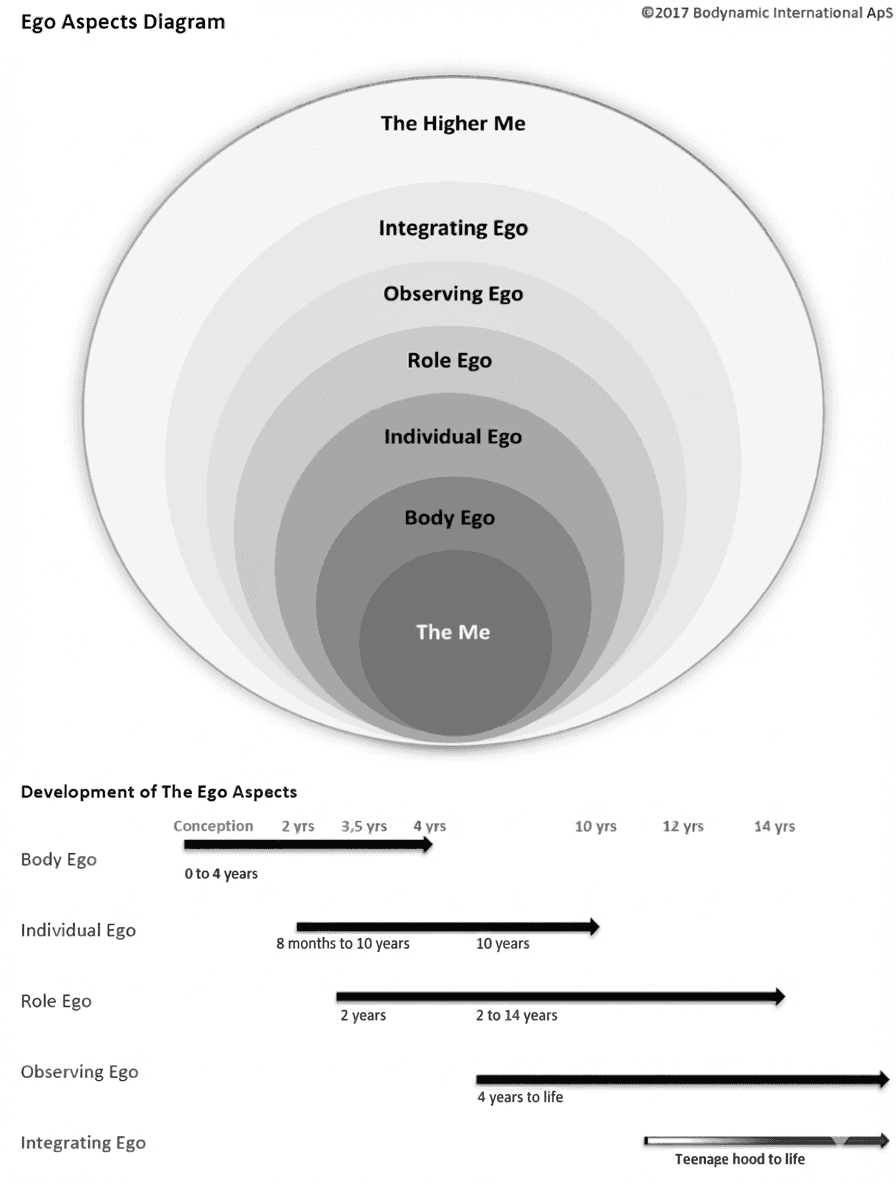 The Ego Aspects, nested from The Me at the core to The Higher Me, with their approximate developmental timing.