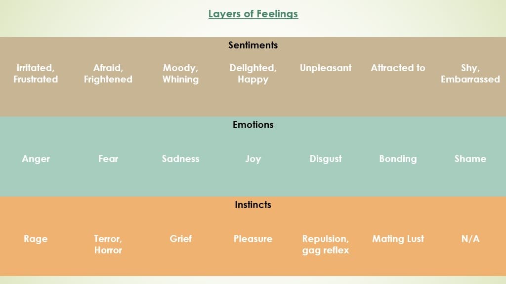Layers of Feelings: sentiments, emotions, and the underlying instincts each connects to.