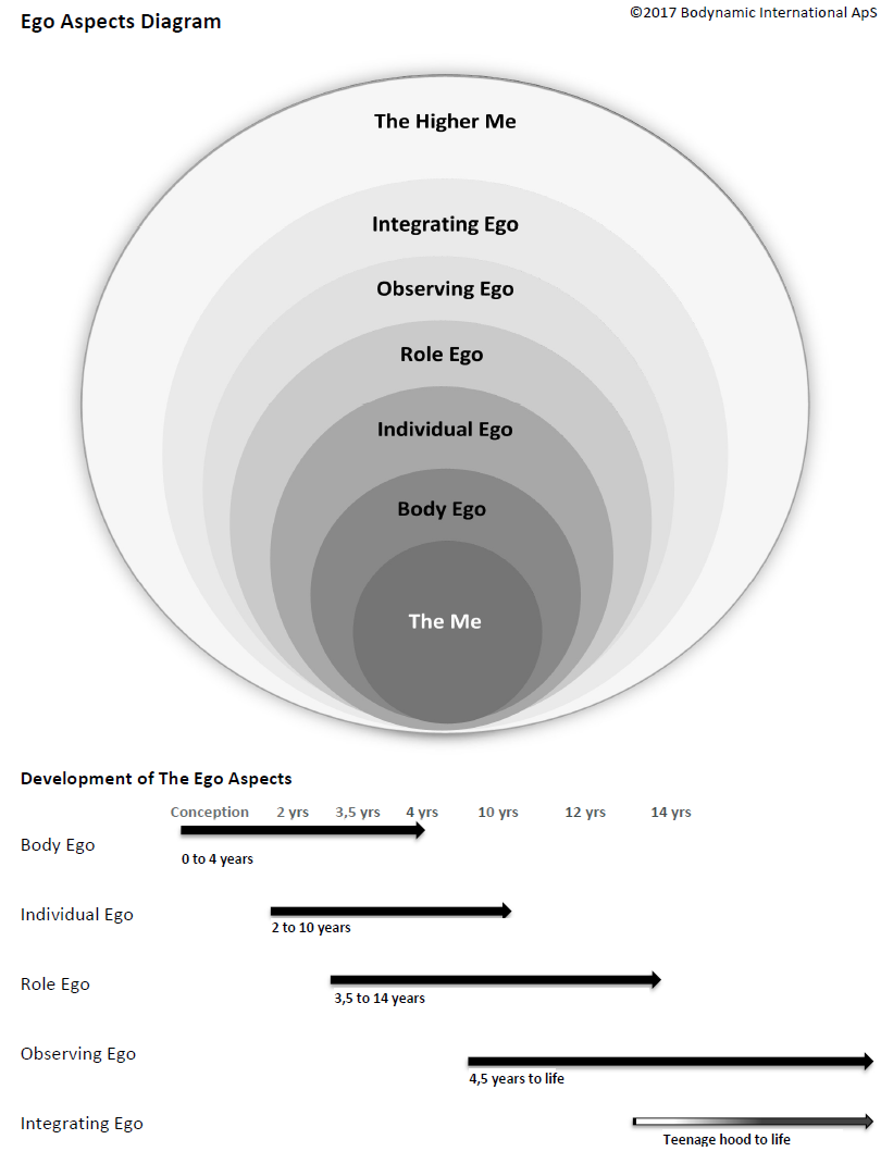 5 ego aspects diagram bodynamic