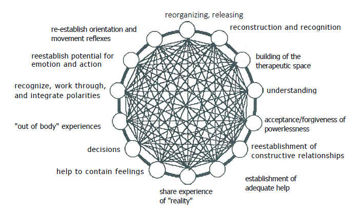 bodynamic analysis therapy model
