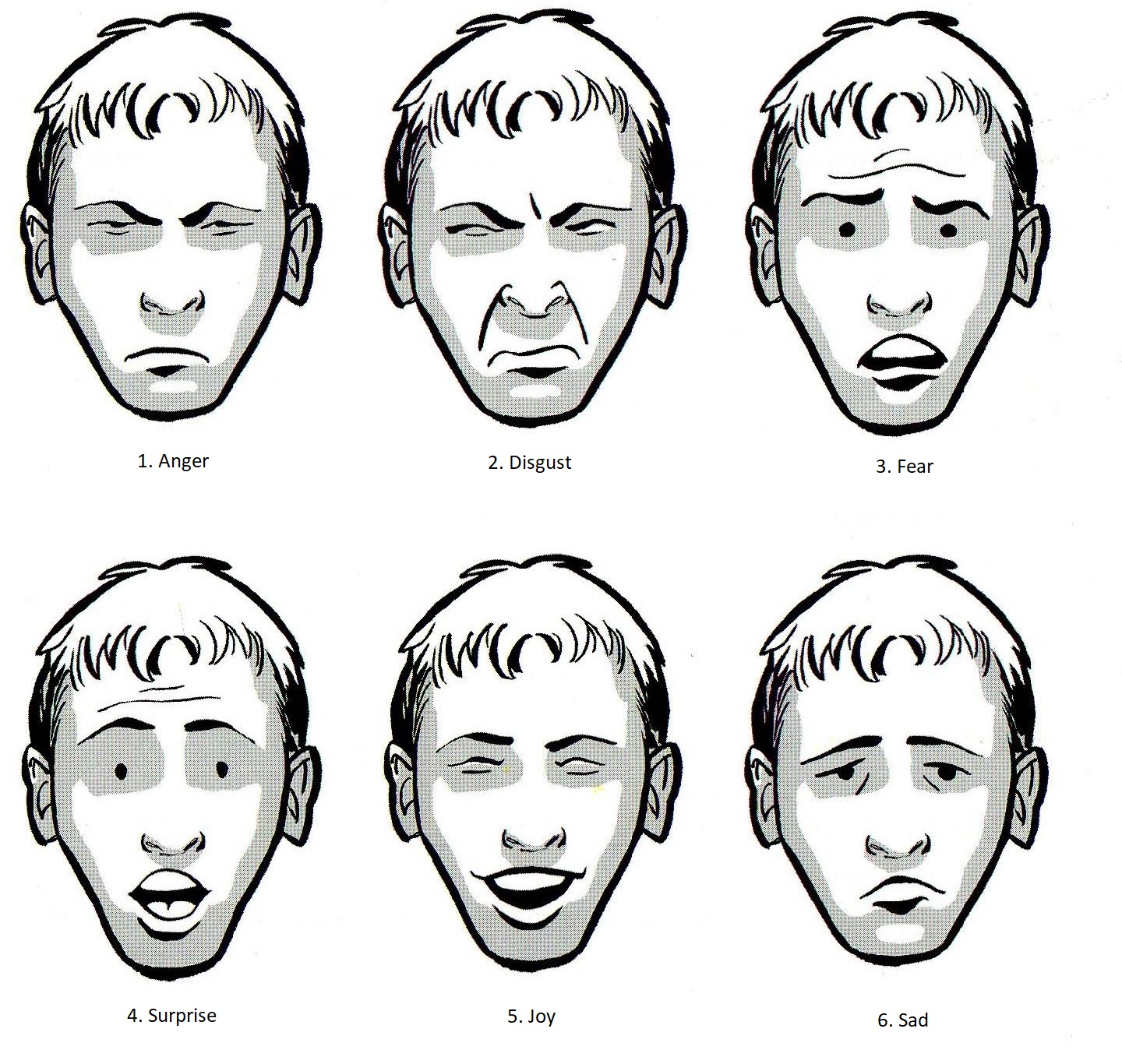 6 basic emotion