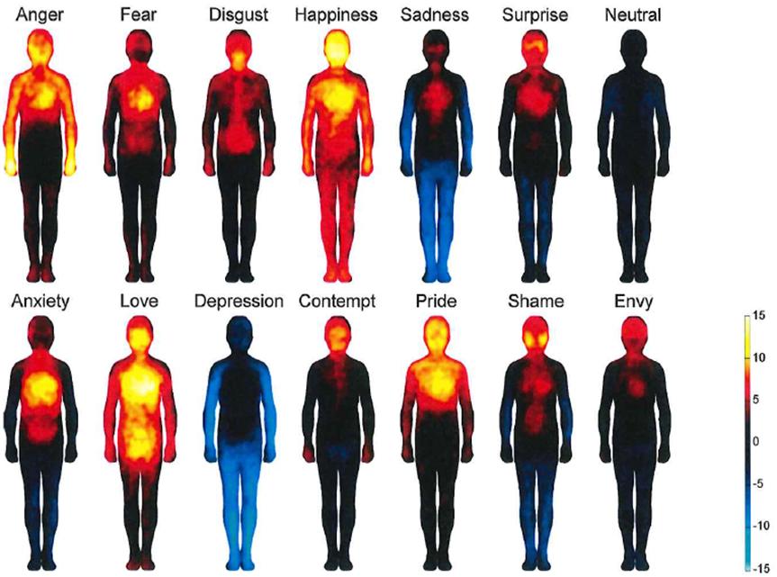 bodily maps of emotions