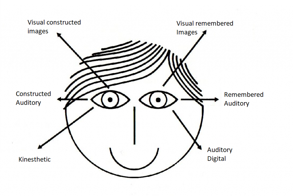 eye movements