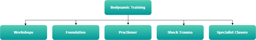 alltrainingsnew