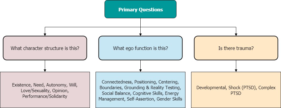 Primary questions 3