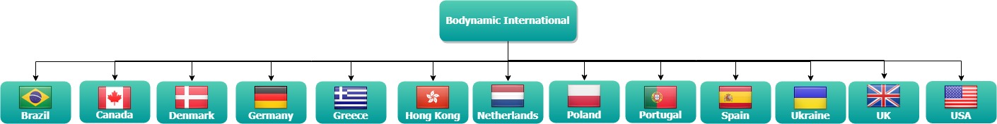 country flow chart 4