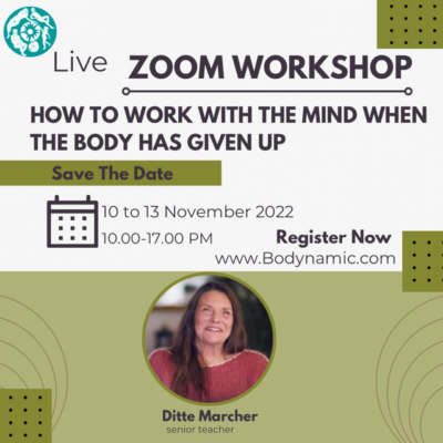 mind body bodynamic