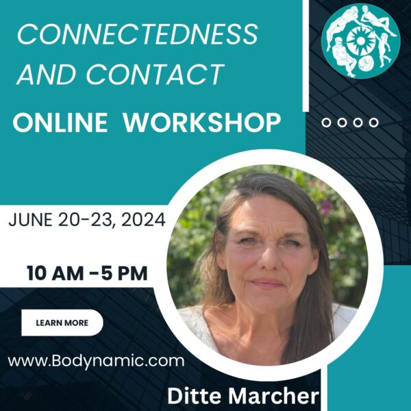 bodynamic connectedness 2024