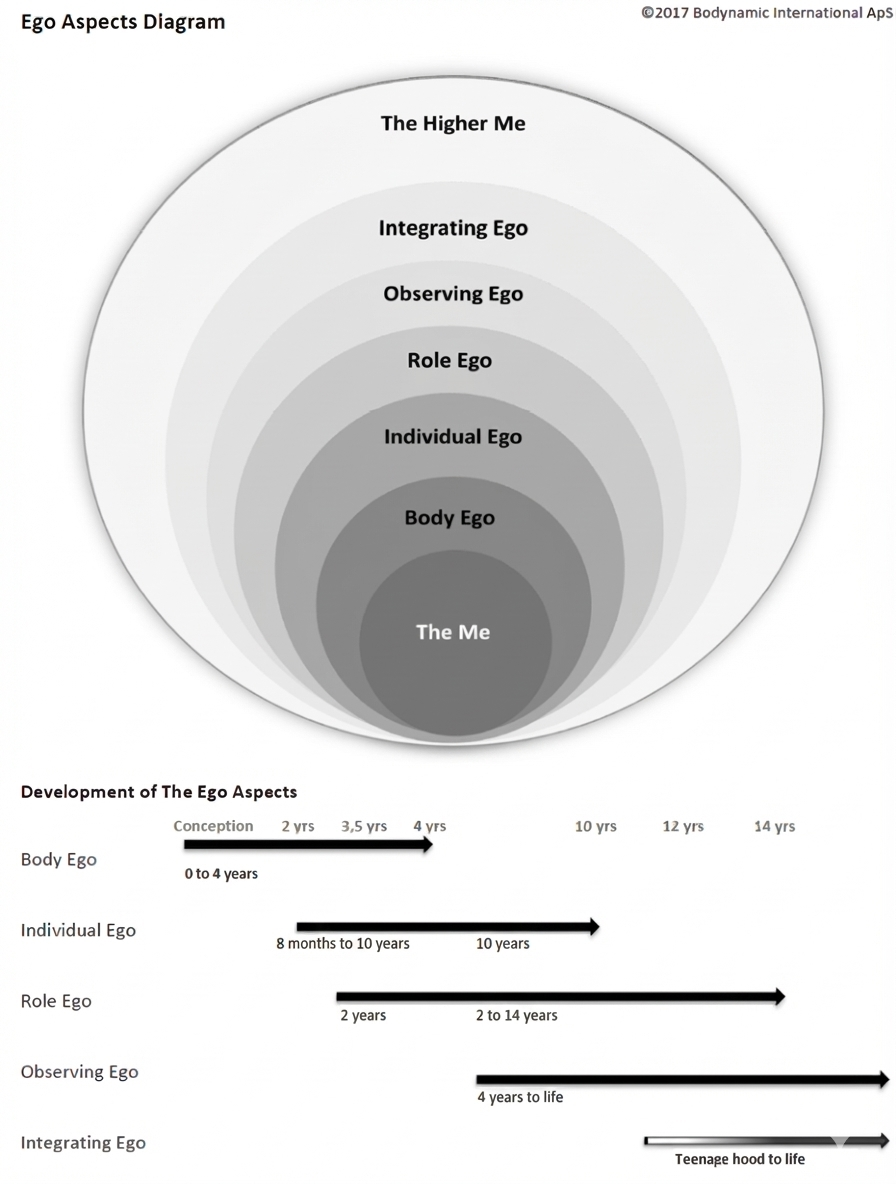 Ego aspects partly fixed
